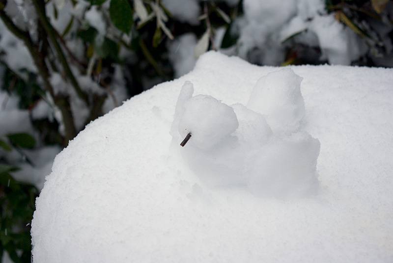 IMGP6382.jpg - Then, in late July, we had a snow storm.  I figured I'd do a different take on a snowman so I made a snow bird swimming in the bird bath.  He blinked when I took his photo...