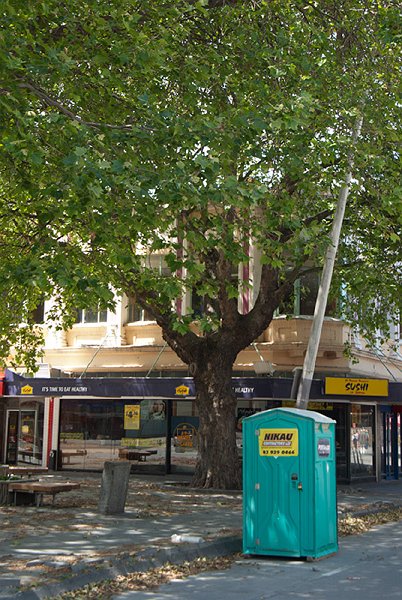 IMGP6671.jpg - See the angle of the lamp post...