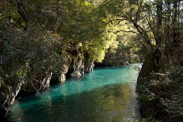 IMGP6344.jpg - The River