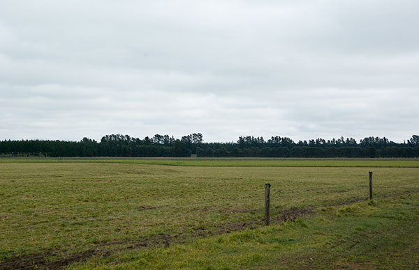 IMGP6392.jpg - The farmers probably weren't too happy to see a new hill appear in their flat paddocks