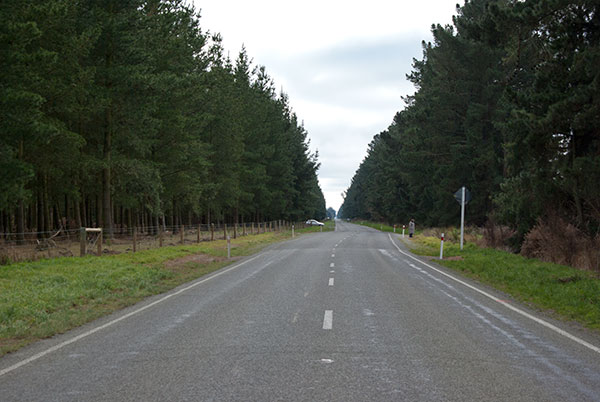 IMGP6403.jpg - Kink in the road