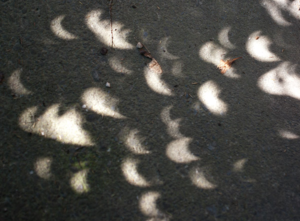 Partial Eclipse