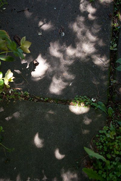 Partial Eclipse