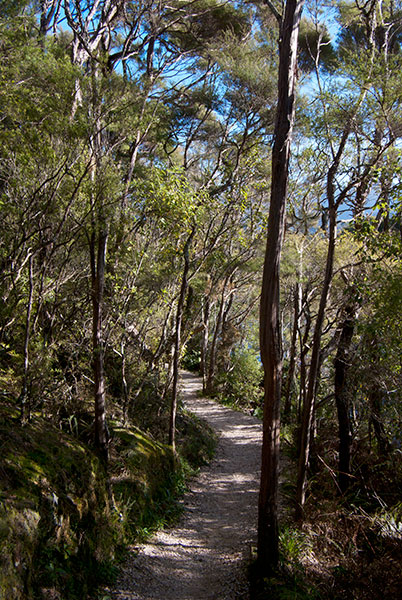 IMGP6303.jpg - Path to Pupu Springs
