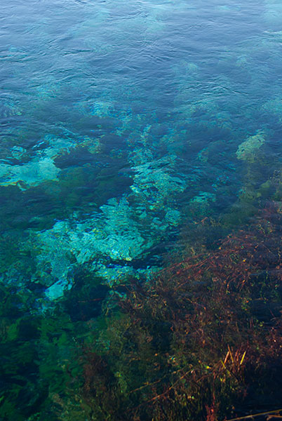 IMGP6311.jpg - Te Waikoropupu Springs (Pupu Springs)