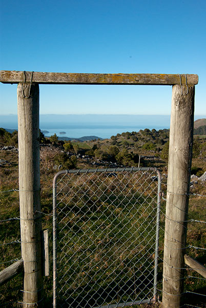 IMGP6322.jpg - A gate