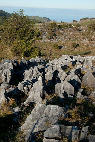 IMGP6323.jpg - Rock farm almost ready for harvest