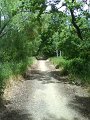 DSC00412