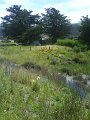 DSC00418