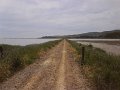 DSC00428