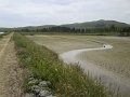 DSC00432