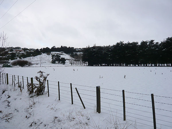 P1050801.jpg - A paddock on Worsley Rd