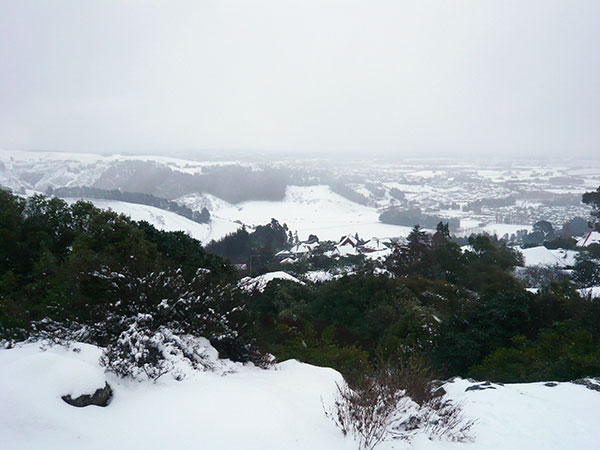 P1050813.jpg - View from Sign of the Takahe