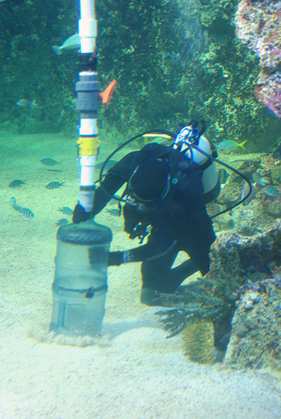 IMGP4571.jpg - Doing the housework