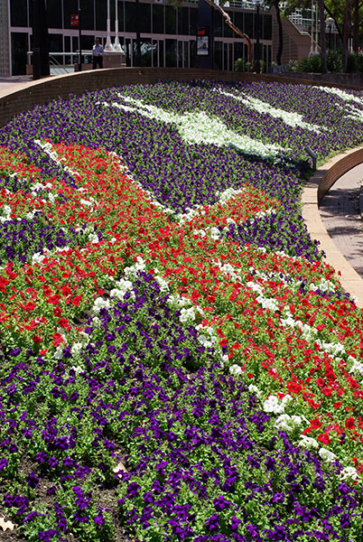 IMGP4714.jpg - Patriotic garden