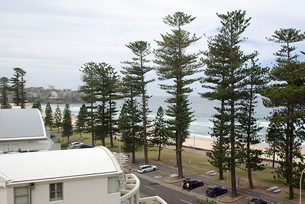 IMGP4720.jpg - The view from our accommodation in Manly.