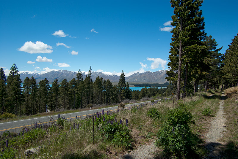 _IGP7582.jpg - View along the walking track