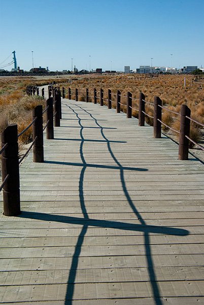 IMGP6423.jpg - The boardwalk at Caroline Bay, with the port in the background.