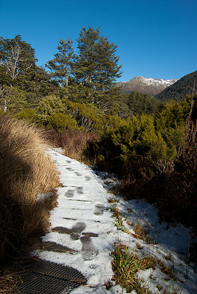 IMGP6261.jpg - The start of the St James Walkway, close to Lewis Pass