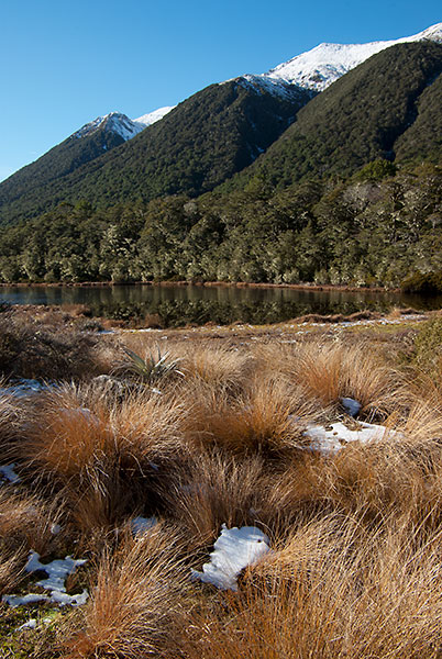 IMGP6262.jpg - The start of the St James Walkway, close to Lewis Pass