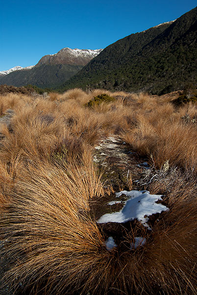 IMGP6264.jpg - The start of the St James Walkway, close to Lewis Pass
