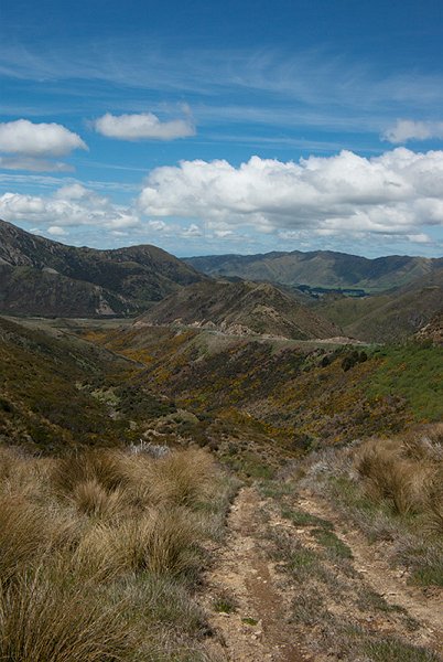 IMGP6540.jpg - The view down from the top of Porters Pass.  No, we didn't have to drive up this dirt track!