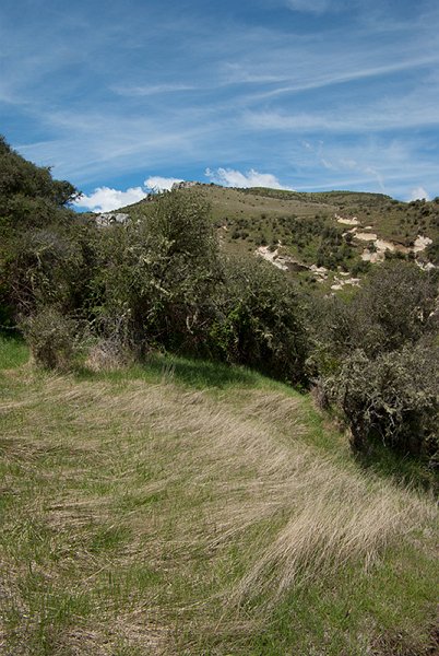 IMGP6553.jpg - Cave Stream scenic reserve