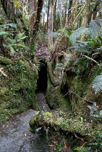 IMGP6592.jpg - An old sluicing tunnel constructed during the 1860's gold rush.  It's only short - you go through as part of the walkway.